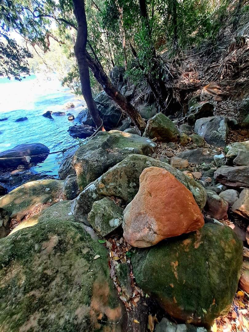 Nature view 7