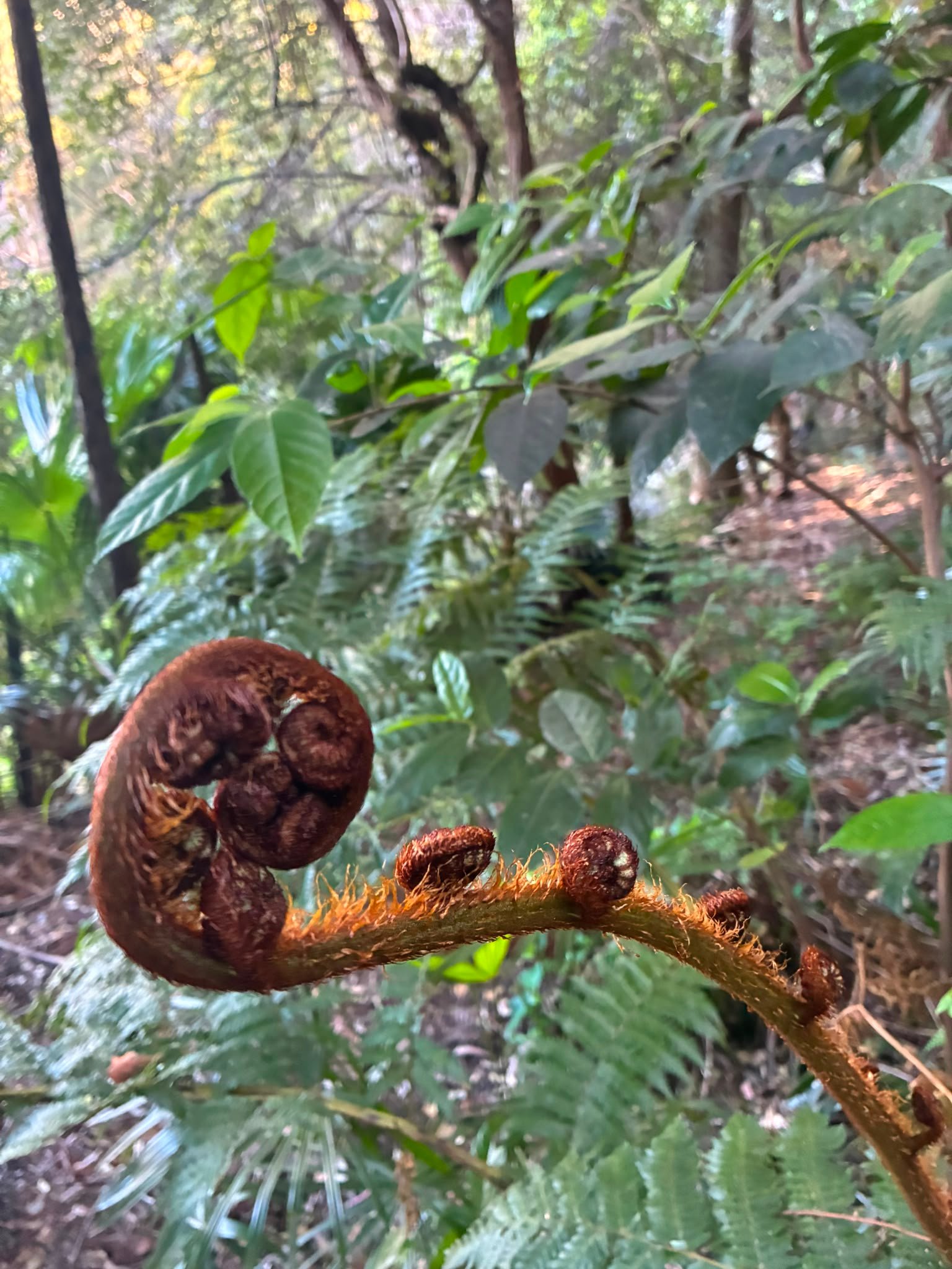 Nature view 8