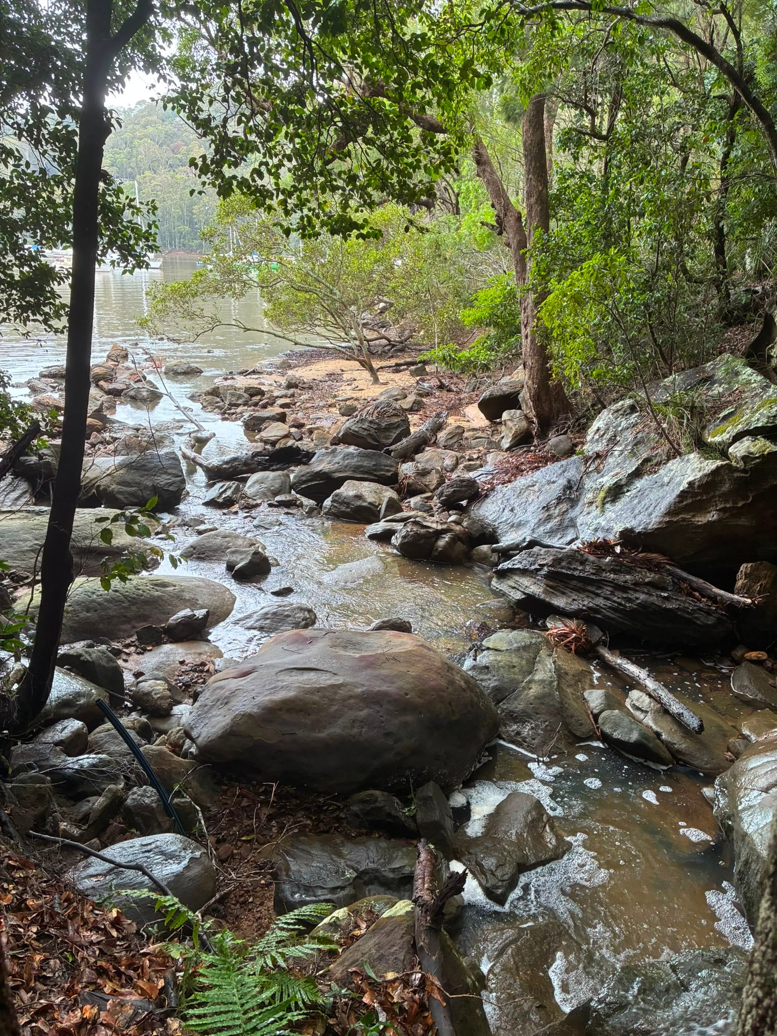 Nature view 4
