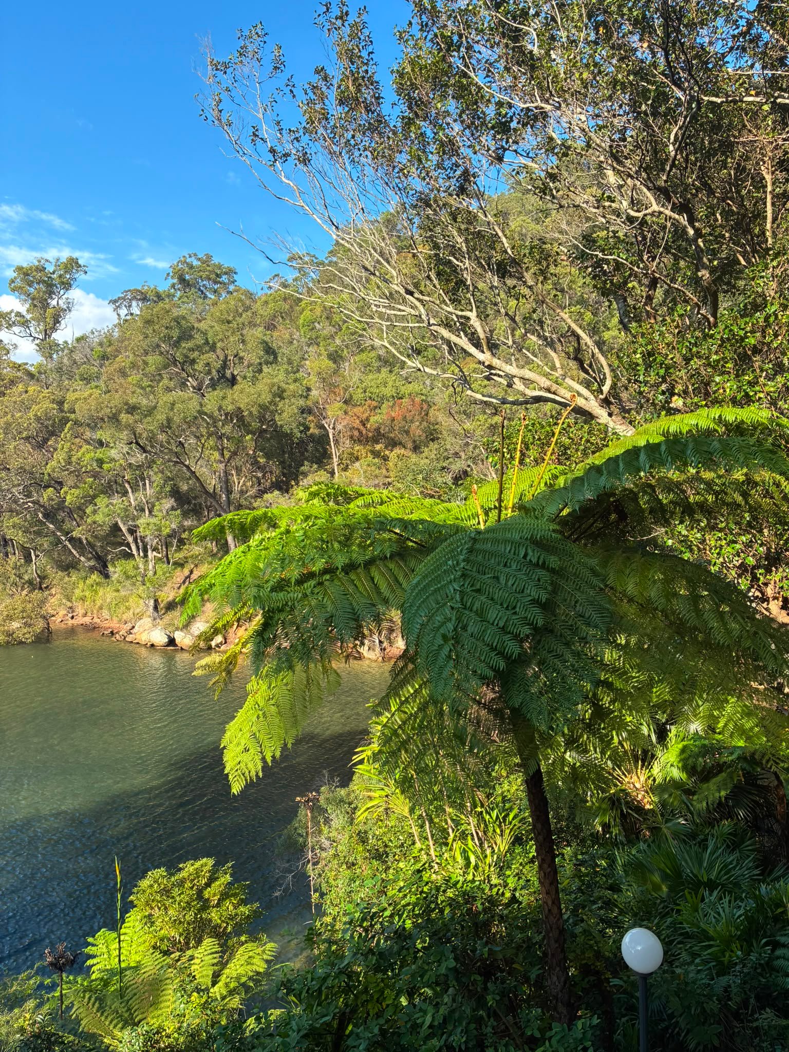 Nature view 12